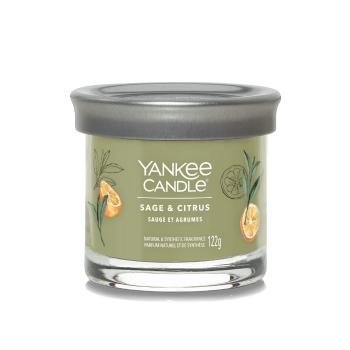 Yankee Candle Aromatická sviečka Signature tumbler malý Sage & Citrus 122 g