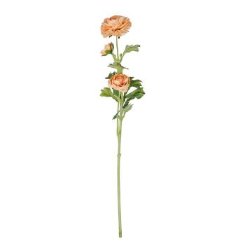 FLORISTA boglárka 63 cm, barackszín