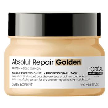 L´ORÉAL Professionnel Séria Expert Maska pre poškodené vlasy Absolut Repair 250 ml