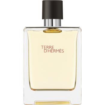 HERMÈS Terre d’Hermès toaletná voda pre mužov 100 ml