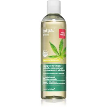 Tołpa Green Strengthening šampón pre oslabené a poškodené vlasy 300 ml