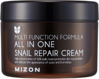 MIZON All In One Snail Repair, Krém na vrásky a problematickou pleť 120 ml
