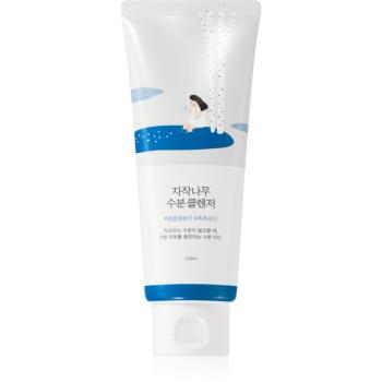 ROUND LAB Birch Juice Moisturizing Cleanser jemný penivý umývací gél s regeneračným účinkom 150 ml