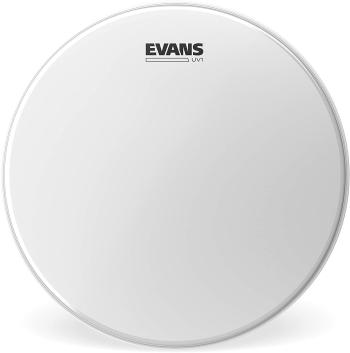 Evans B08UV1 UV1 Coated 8" Blana na bubon