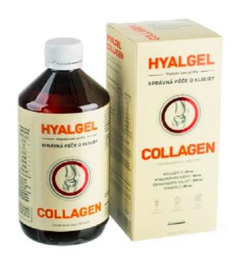 Silvita Hyalgel COLLAGEN 500 ml