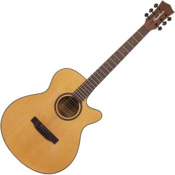 Pasadena SG01SZC 40 Natural Akustická gitara Jumbo