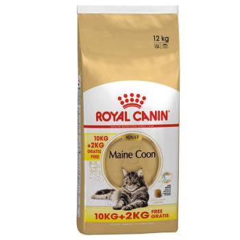 12 kg Royal Canin Maine Coon Adult száraz macskatáp - 2 kg ingyen!