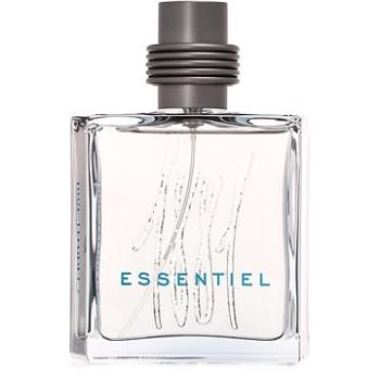 CERRUTI 1881 Essentiel EdT 100 ml (3614223750610)