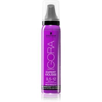 Schwarzkopf Professional IGORA Expert Mousse farbiaca pena na vlasy odtieň 9,5-12 Moonstone 100 ml