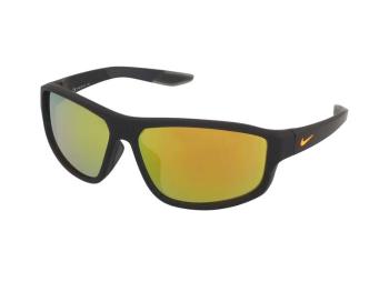 Nike Brazen Fuel M DJ0803 452