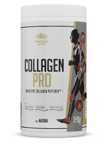 Collagen Pro - Peak Performance 540 g Natural