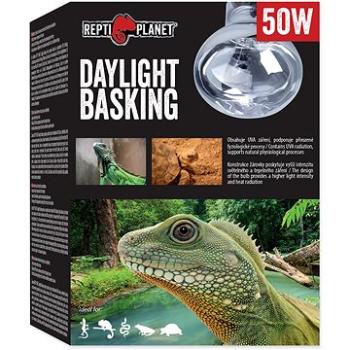 Repti Planet žiarovka Daylight Basking Spot 50 W (8595091793341)