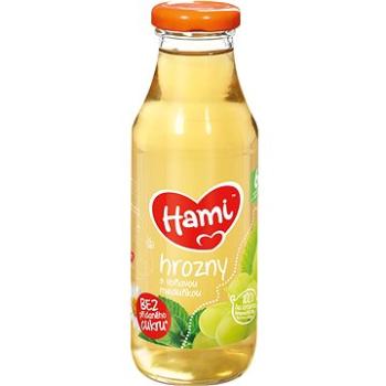 HAMI prvý ovocný nápoj Hrozno s voňavou medovkou 12× 300 ml (8591119252708)