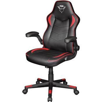 RAVY GAMING CHAIR (24219)