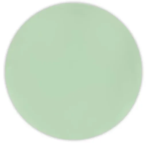 PROCOS Plastový tanier DECORATA 25cm sv.zelený 2ks