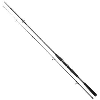 Daiwa prút seahunter x 2,40 m 40-120 g