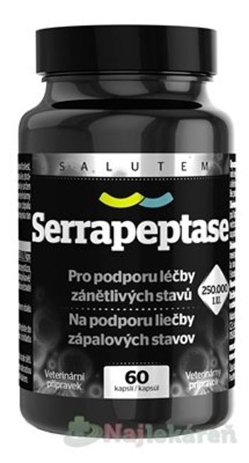 Serrapeptase 250 000 I.U. SALUTEM 60 kapsúl