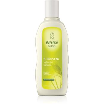 Weleda Hair Care tápláló köles sampon normál hajra 190 ml