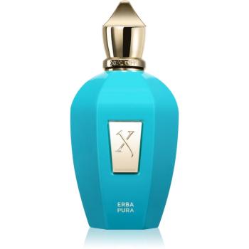 Xerjoff Erba Pura parfumovaná voda unisex 100 ml