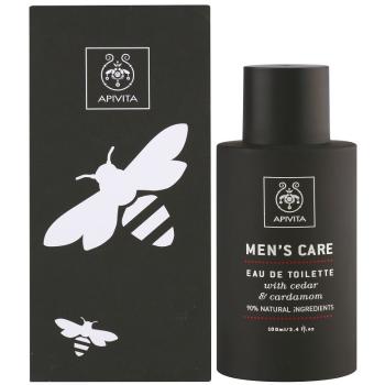 Apivita Men's Care Eau de Toilette toaletná voda pre mužov 100 ml