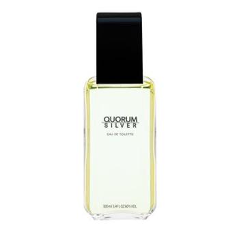 Antonio Puig Quorum Silver toaletná voda pre mužov 100 ml