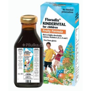 Salus Floradix Kindervital 250 ml