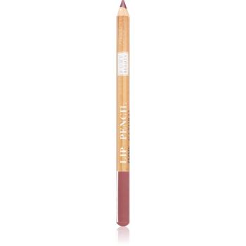 Astra Make-up Pure Beauty Lip Pencil kontúrovacia ceruzka na pery natural odtieň 05 Rosewood 1,1 g