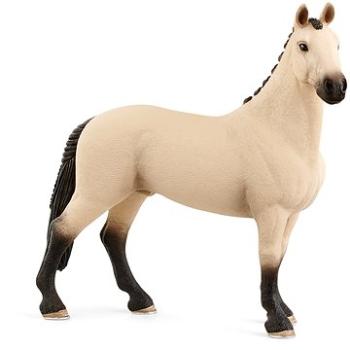 Schleich 13928 Zvieratko - valach hannoverský (4059433084220)