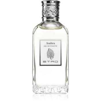 Etro Ambra toaletná voda unisex 100 ml