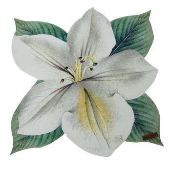 ArtFir Prestieranie SUMMER 3 | prírodná/zelená 33 cm