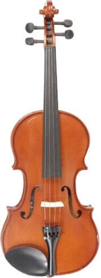 Pierre Marin AV44 4/4 Akustické husle