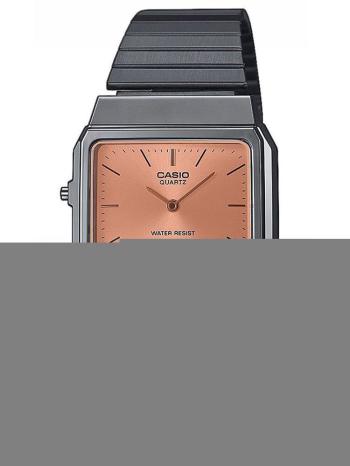 UNISEX CASIO Vintage Dual Time HODINKY AQ-800ECGG-4ADF + BOX