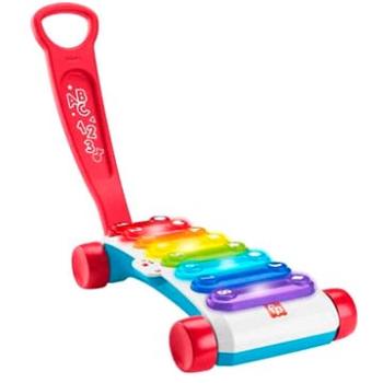 Fisher Price Obrí xylofón CZ/SK/EN/HU/PL (194735088317)