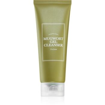 I'm from Mugwort Gel Cleanser upokojujúci čistiaci gél s rastlinnými extraktmi 150 ml