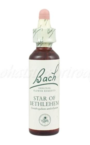 Star of Bethlehem - Bledavka chocholíkatá 20 ml - bachove kvapky