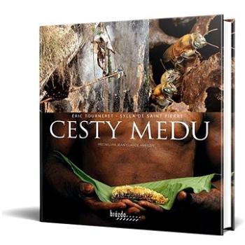 Cesty medu (978-80-209-0450-8)