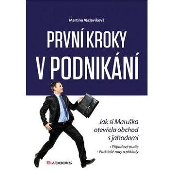 První kroky v podnikání (978-80-265-0013-1)