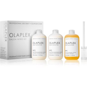 Olaplex Professional Salon Kit sada pre farbené a poškodené vlasy pre profesionálne použitie