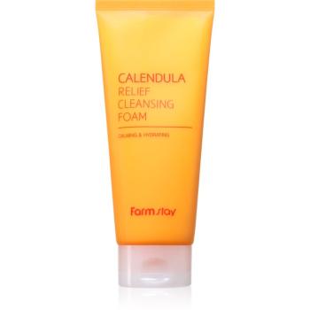 Farmstay Calendula upokojujúca čistiaca pena 180 ml