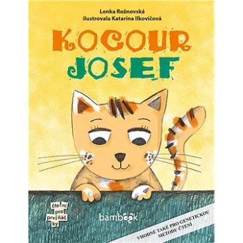 Kocour Josef (978-80-271-0280-8)