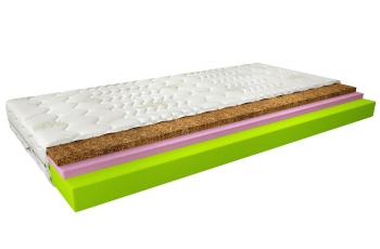 Termoelastický matrac Sergio 80x200 Aloevera