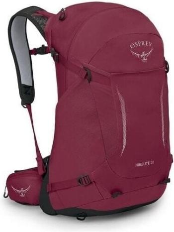 Osprey Hikelite 28 Chameleon/Black S/M 26 L Outdoorový batoh