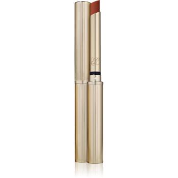Estée Lauder Pure Color Explicit matný rúž odtieň Double or Nothing 1.8 g