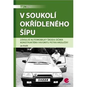 V soukolí okřídleného šípu (978-80-247-2415-7)