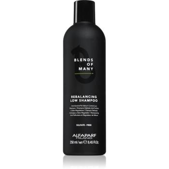 Alfaparf Milano Blends of Many Rebalancing šampón proti lupinám 250 ml