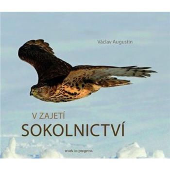 V zajetí sokolnictví (978-80-905-4764-3)