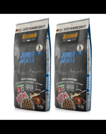 BELCANDO Junior Maxi hrana uscata pentru cainii cu varsta 4 luni+, talie L-XL 25 kg (2 x 12.5 kg)