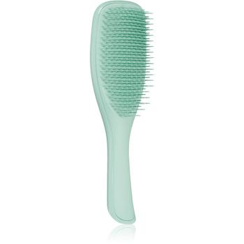 Tangle Teezer Ultimate Detangler Fine & Fragile Dark Teal plochá kefa pre všetky typy vlasov 1 ks