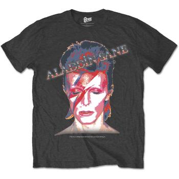 David Bowie tričko Aladdin Sane Šedá XXL