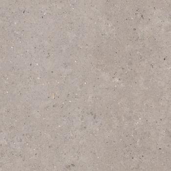 Dlažba Pastorelli Biophilic grey 120x120 cm mat P009411